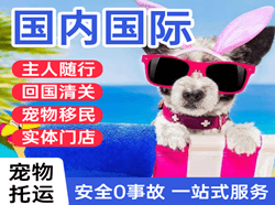 王村机场货运国际宠物托运 【国